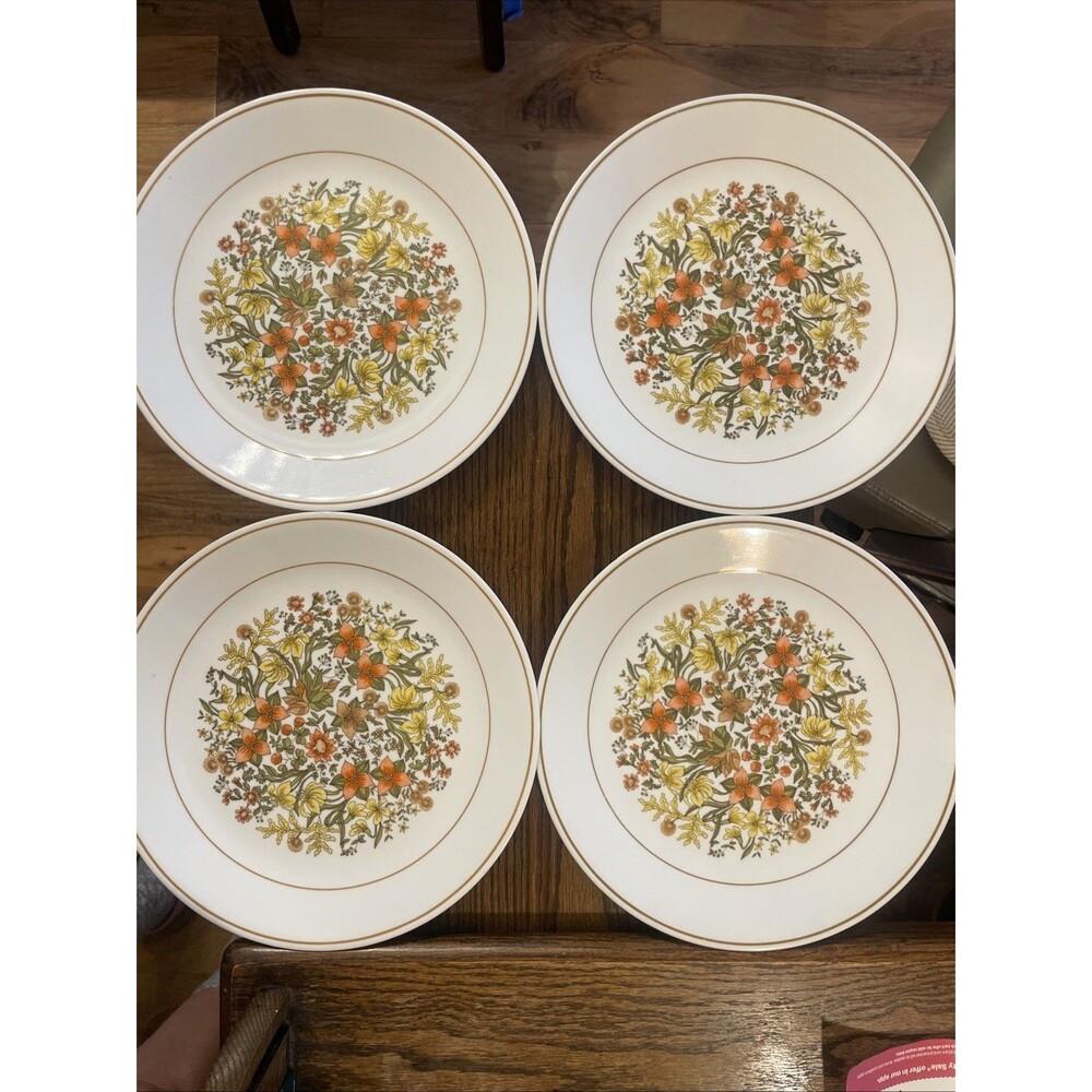 4 Vintage Corelle by Corning 10.25” dinner plates Indian Summer Retired